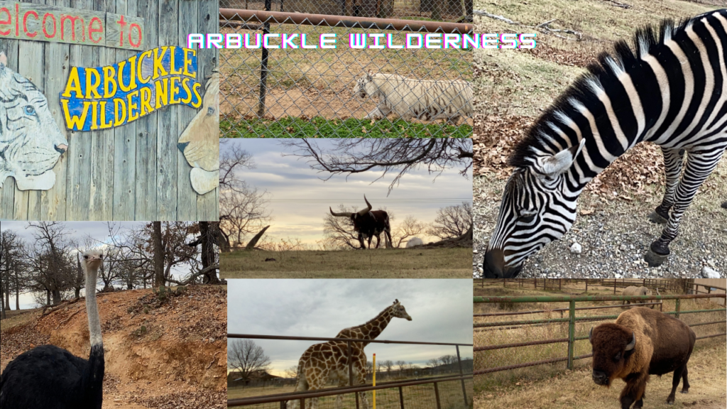 Arbuckle Wilderness Unijou