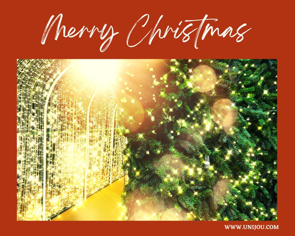 Christmas Lights in Dallas, Christmas Lights around Dallas Christmas Lights around Dallas,Holiday lights around Dallas